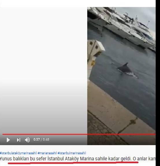 Ο Άδωνις Γεωργιάδης, άθελα του, παραπληροφορεί τον κόσμο 3